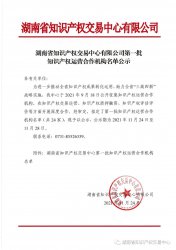 湖南省知识产权交易中心第一批知识产权运营合作机构名
